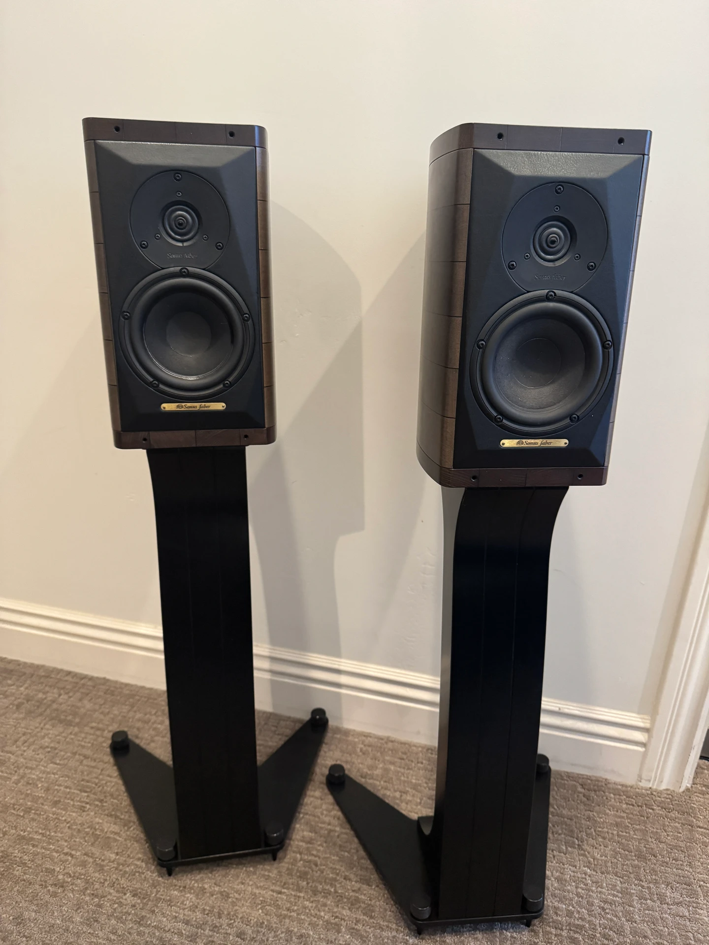 Sonus faber Cremona Auditor M — Bookshelf / Monitor Speakers